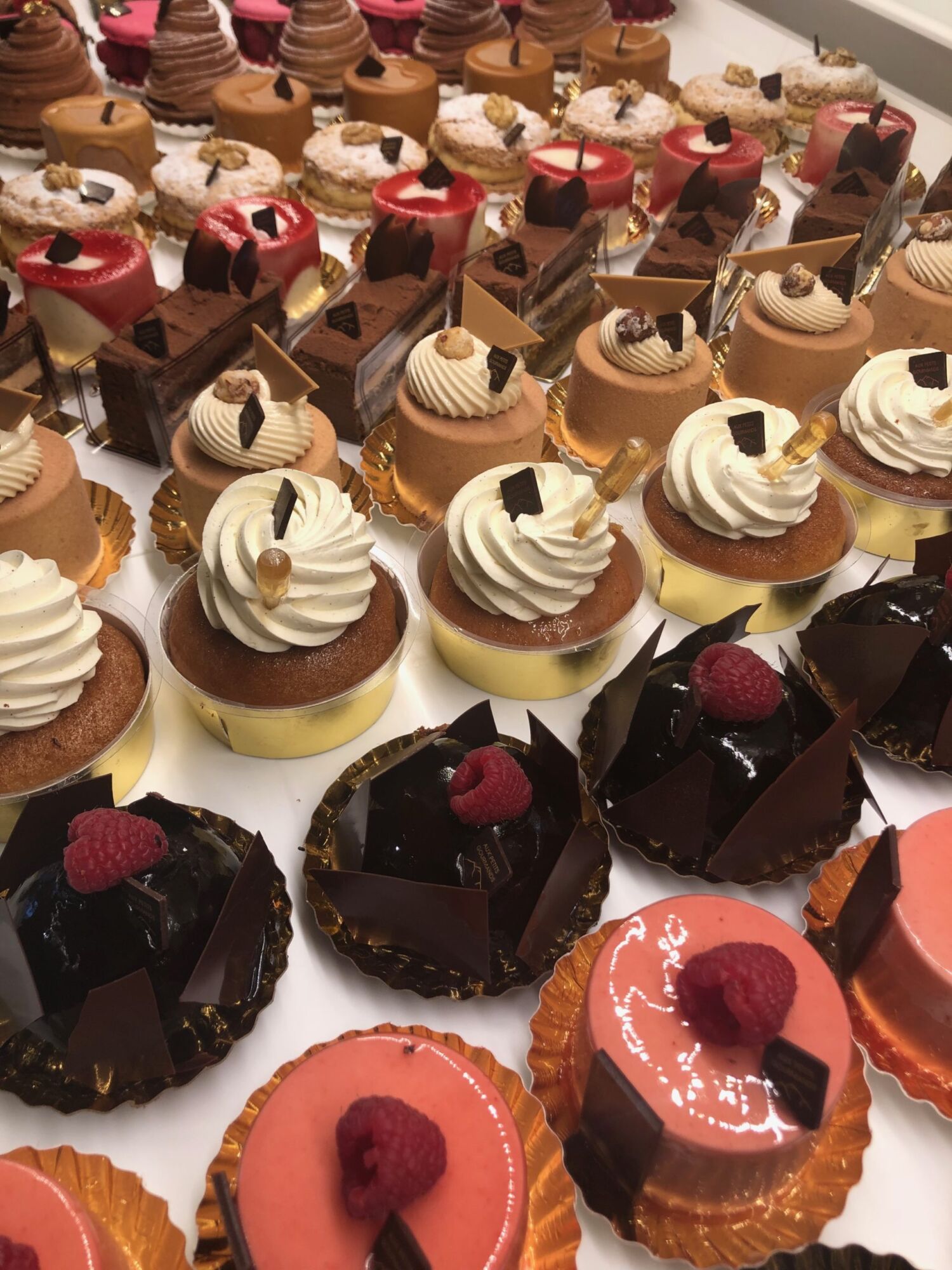 A tray of French patisserie — chocolate, raspberry and vanilla mousse cakes lined up under glass