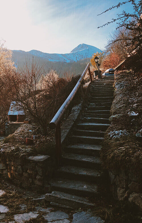 A stone staircase climbing between bare trees on a hillside, a figure at the top, mountains in the distance