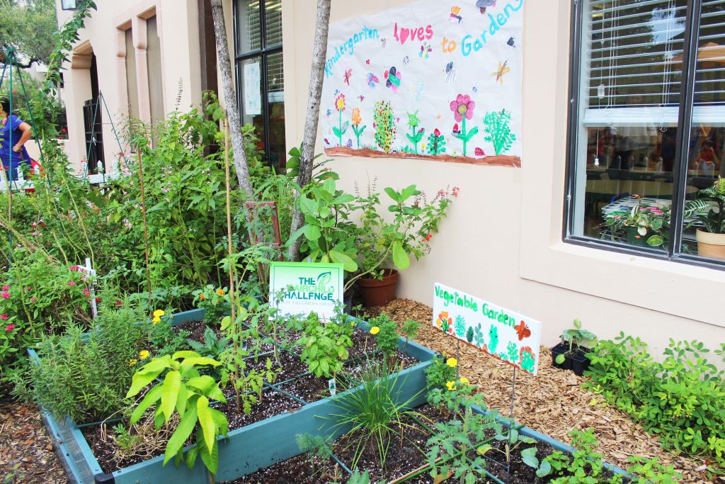 Raised garden beds planted with herbs beside a school building, painted signs on the wall