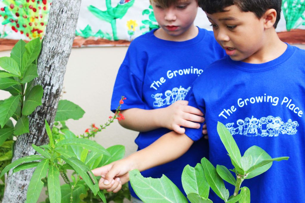 Two boys in blue Growing Place T-shirts examining a plant's leaves