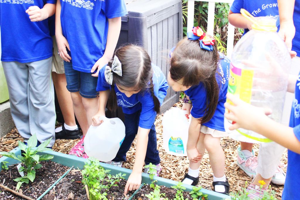 Children in blue T-shirts watering a garden bed from plastic jugs