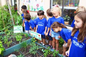Kindergarteners in blue Growing Place T-shirts looking into a raised garden bed