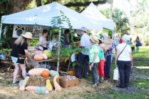 Visitors browsing pumpkins, squash and plants at a stall under white tents at a garden festival