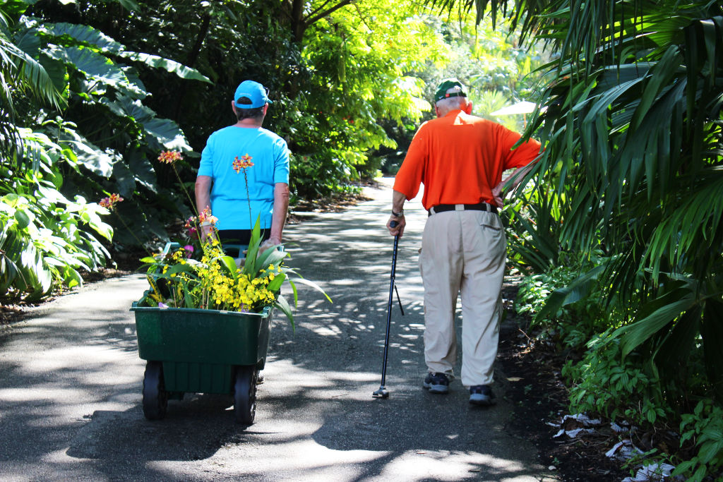 Two men walking along a shaded garden path, one pulling a cart of plants