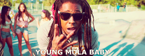 Lil Wayne in sunglasses and dreadlocks, captioned "Young Mula Baby", women behind him