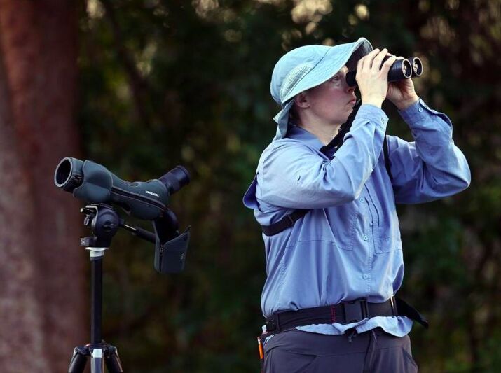 Everglades National Park has various bird walks open to the Public Through Winter Season
