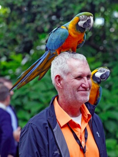 A smiling man with a blue-and-yellow macaw perched on his head and another on his shoulder