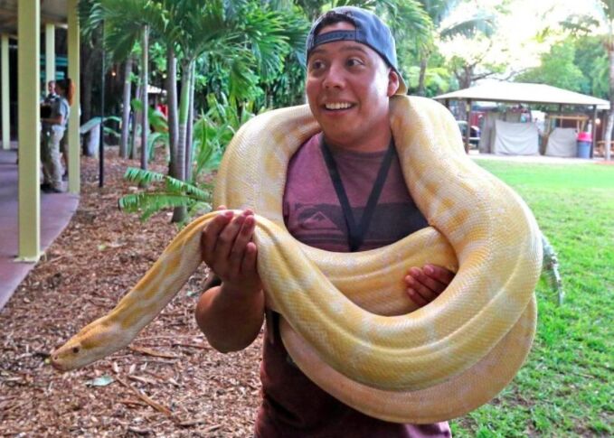 A man laughing with a large yellow python draped around his shoulders
