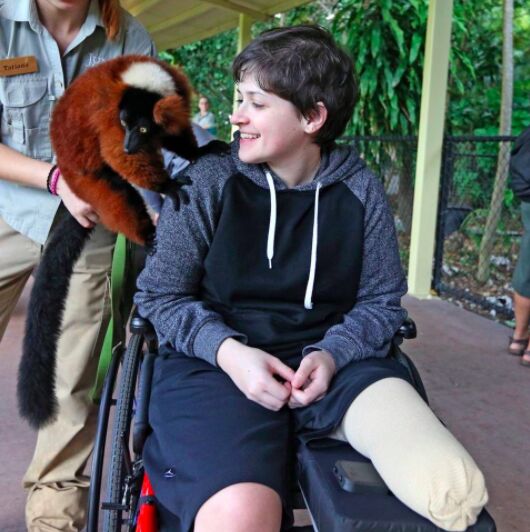 A young veteran in a wheelchair smiling up at a red ruffed lemur on a keeper's shoulder