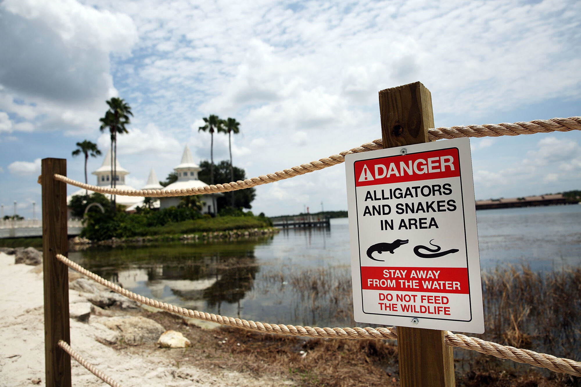 Disney World finally Posts Alligator Warnings