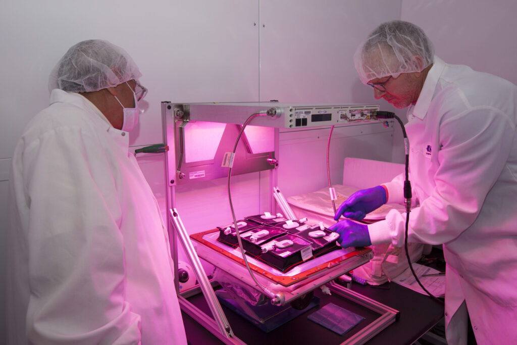 Two people in lab coats and hairnets tending plants under pink grow lights