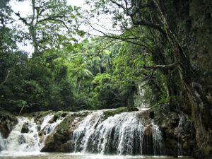 A waterfall tumbling over rocks into a pool, surrounded by dense green forest